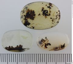 Foto von Quarz (Chalcedon, Achat, Dendritenachat/Mokkastein) (NHMW-MIN-Ab5827)